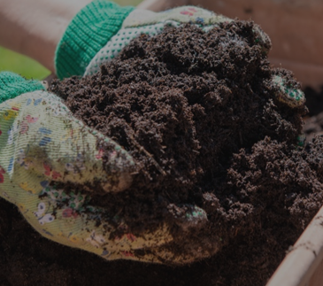 Fertilizers and  Soil Amendments