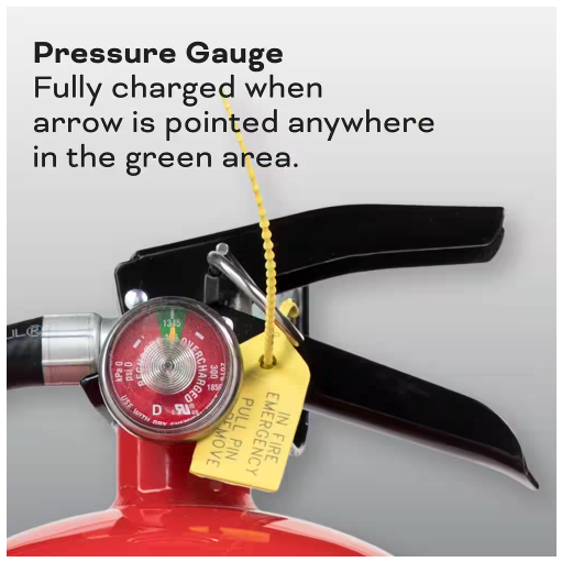 Pro 460 4-A:60-B:C Fire Extinguisher